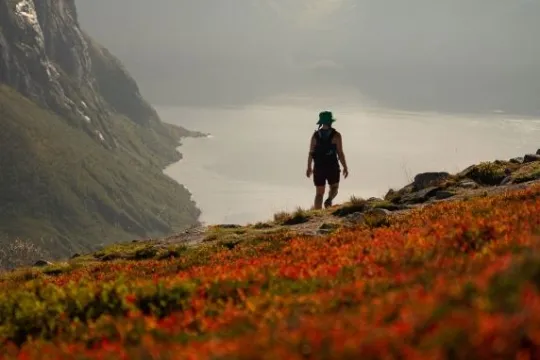 A person looking out over fjords and mountains in summer