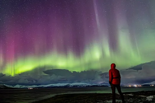 Marianne's Passionate Aurora Borealis Hunt 