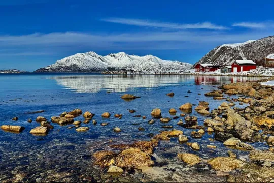 Scenic and Photographic Wildlife & Fjord Excursions