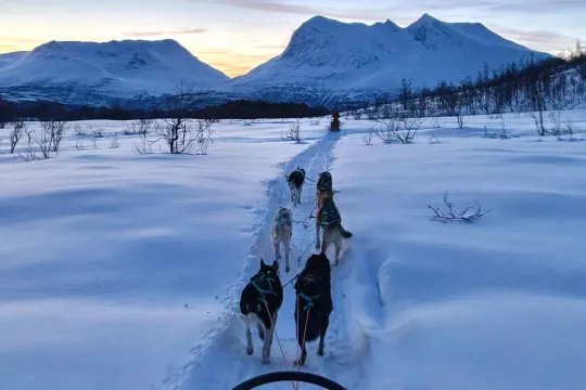 Huskyer som trekker en slede i et vinterlandskap med fjell i bakgrunnen.