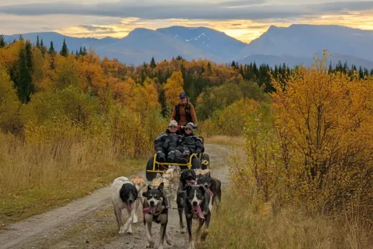 Flere huskyer som trekker en vogn med to gjester og en guide, med arktisk landskap i bakgrunnen.