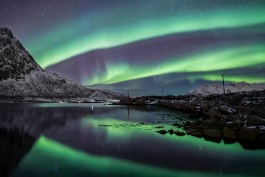 Aurora Safari Chase med stor buss