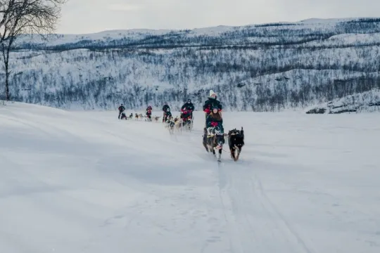 Flere hundespann på tur gjennom det åpne vinterlandskapet i Skibotndalen