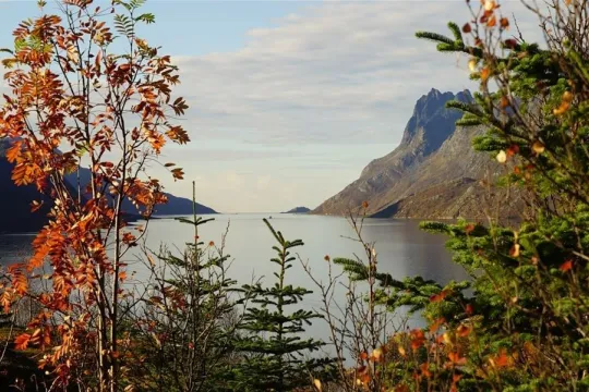 Fjord Sightseeing by Tesla Model X