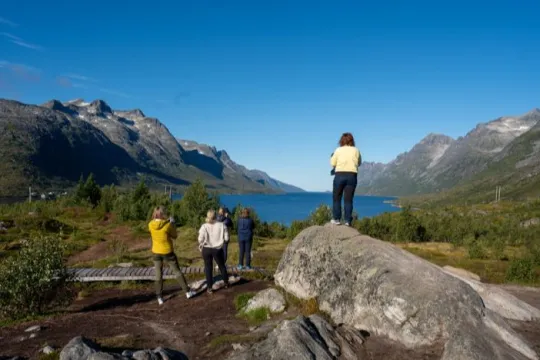 Sommarøy fjordtur med lokal guide og bilder