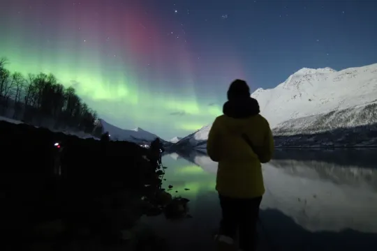 Guest looking at a fjord view with northern lights in the sky