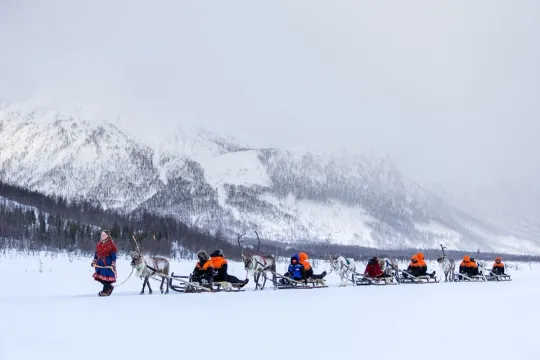 Guests are pulled by multiple reindeer sleds