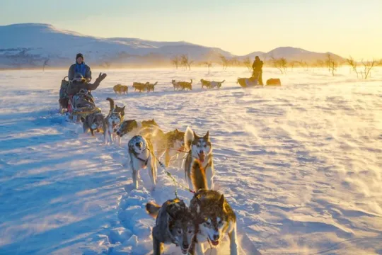 Two dog sleds with guests and a guide being pulled through a winter landscape at sunset