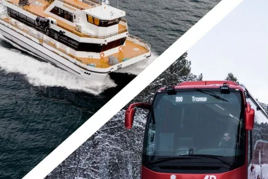 Whale Watching with Scenic Roadtrip