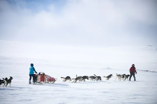 Two people with a dog sled in the wilderness in winter