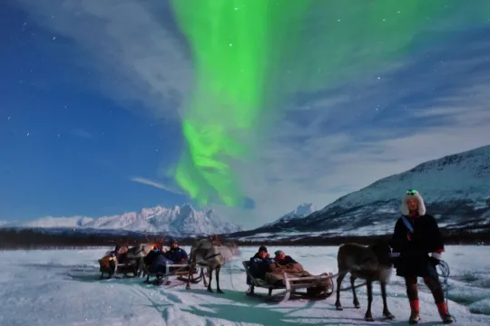 Reindeer Sledding, Feeding and Northern Lights