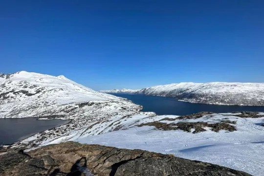 Arktisk landskap