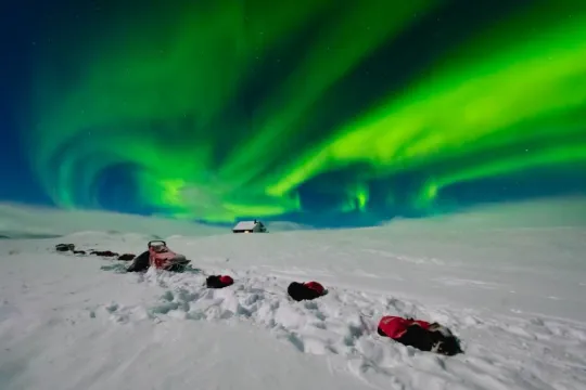 Green Northern Lights above an open, snow-covered winter landscape with a dog team and expedition equipment in Northern Norway.