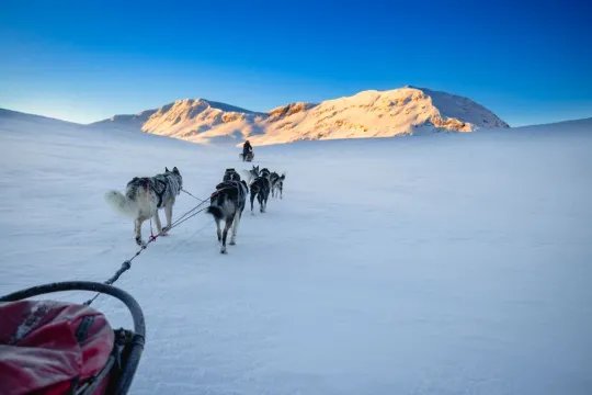 A dog team travelling through an open, snow-covered mountain landscape.