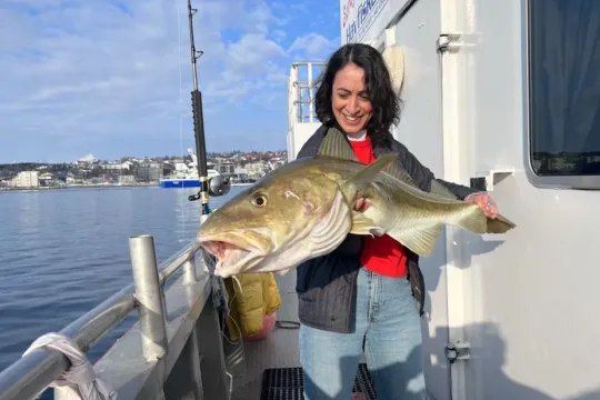 Gjesteopplevelse med fangst under havfiske med Sørøya Havfiske.