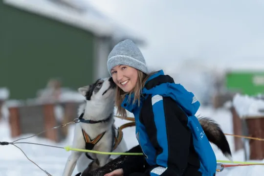 En gjest blir kjent med en av huskyene før hundekjøringen.