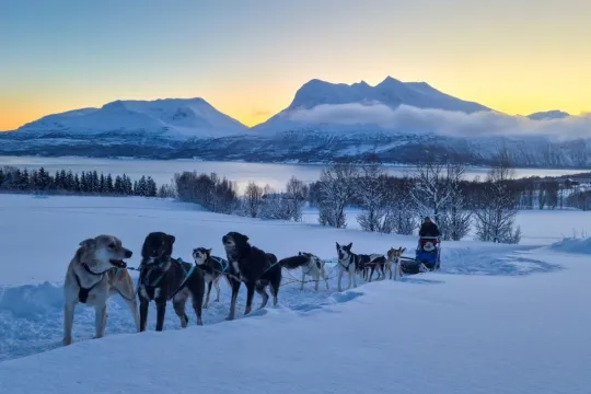 Dog team travelling through the winter landscape of Kvaløya with mountains in the background.