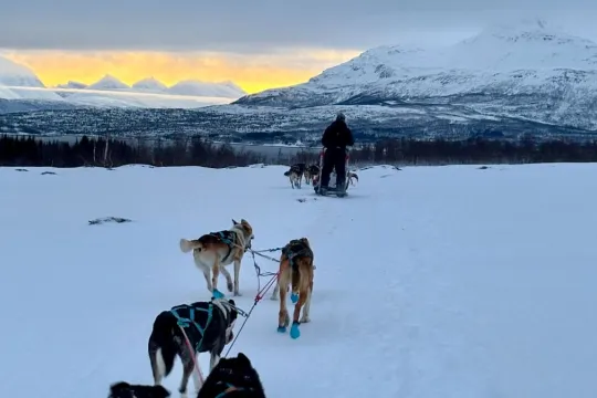 Et hundespann trekker en slede gjennom et snødekt vinterlandskap med fjell i bakgrunnen under en hundekjøringstur med Kvaløya Husky utenfor Tromsø.