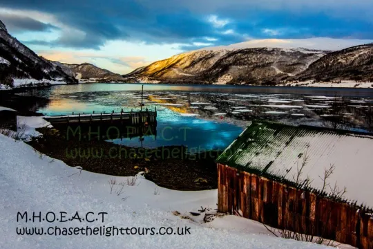 Fjordtur, ørn, oter fra bilen - med eller uten kamera