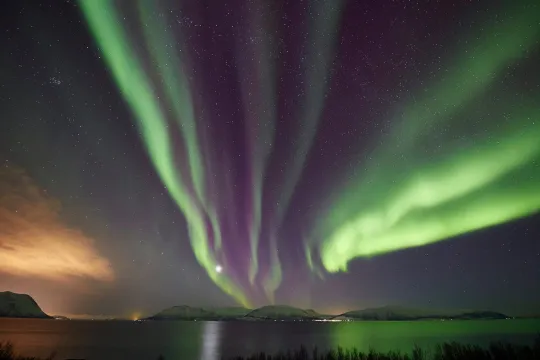 Northern lights over the coast