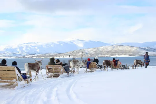 Reindeer pulling sleds with people across a snow-covered landscape with mountains and water in the background.
