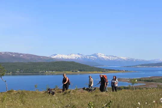 Hiking with huskies, sea and mountains in the background