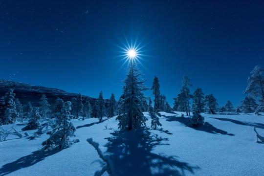 Månelys over juletre i arktisk lys