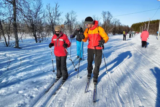People cross-country skiing on a floodlit trail.