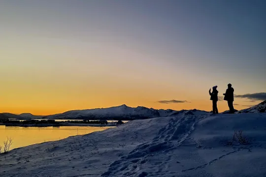 Gjester tar bildet av det fine arktiske lyset