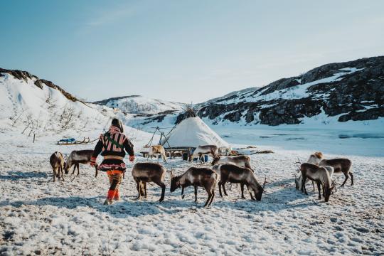 Arctic Fjords and Reindeer Experience – Small Group Tour