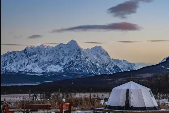 Overnight in Lavvu and Reindeer Feeding with Chance of Northern Lights