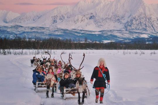 Reindeer Sledding, Reindeer Feeding and Sami Culture - Afternoon