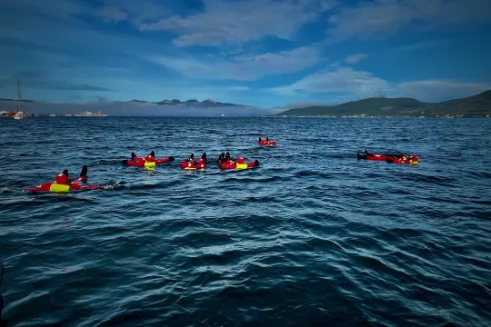 Arctic Ocean Floating by Night
