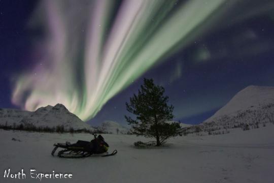 Snowmobile under the northern lights north of Tromso