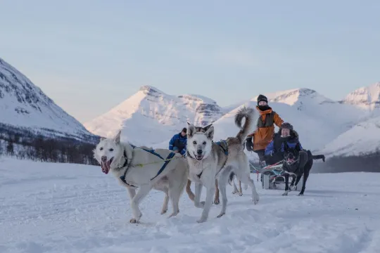 Dogsledding in the Tamok valley north of Tromso