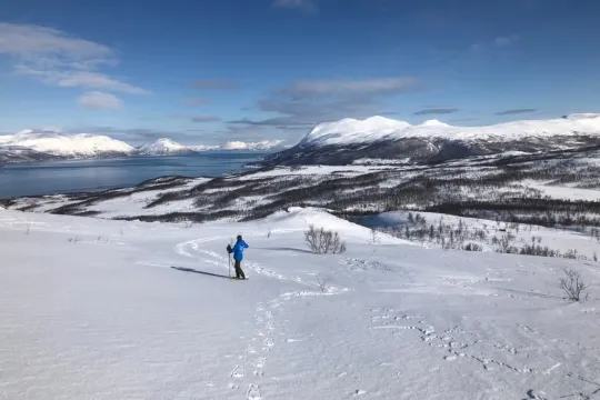 Snowshoeing with Reindeer