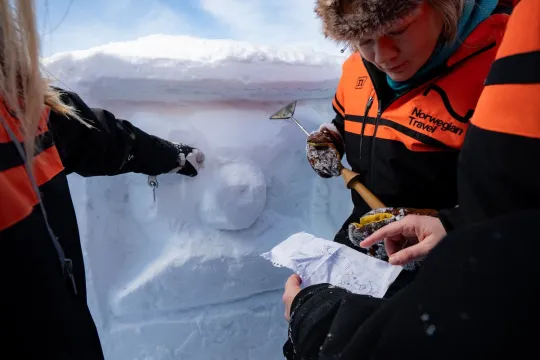 Carving the snow