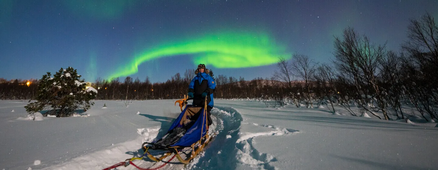 Dog sledding under the northern lights