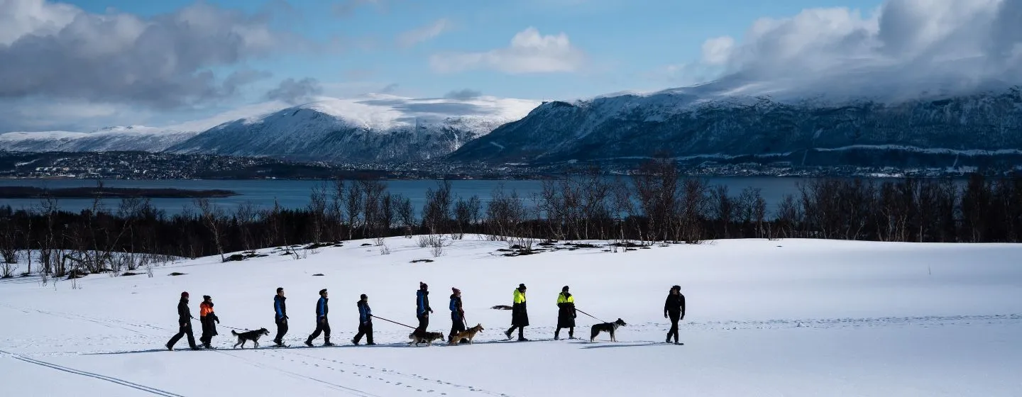 Snowshoeing with huskies in early spring in Tromso