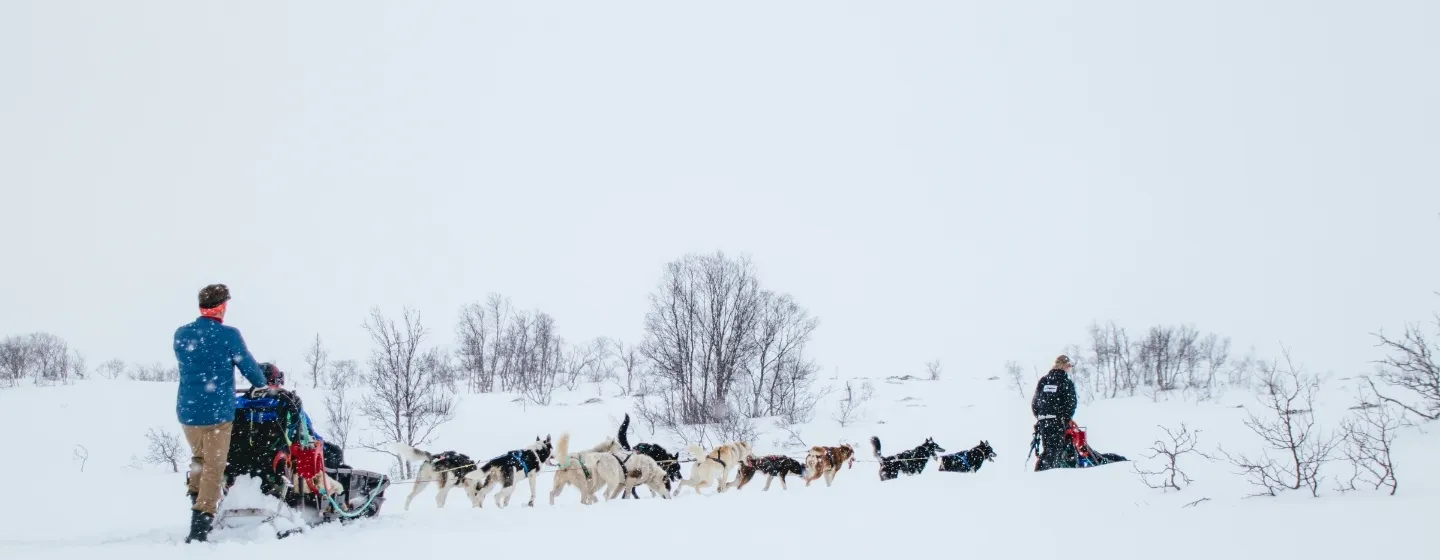 Snow sledding in snowy weather in the Tromsø Region