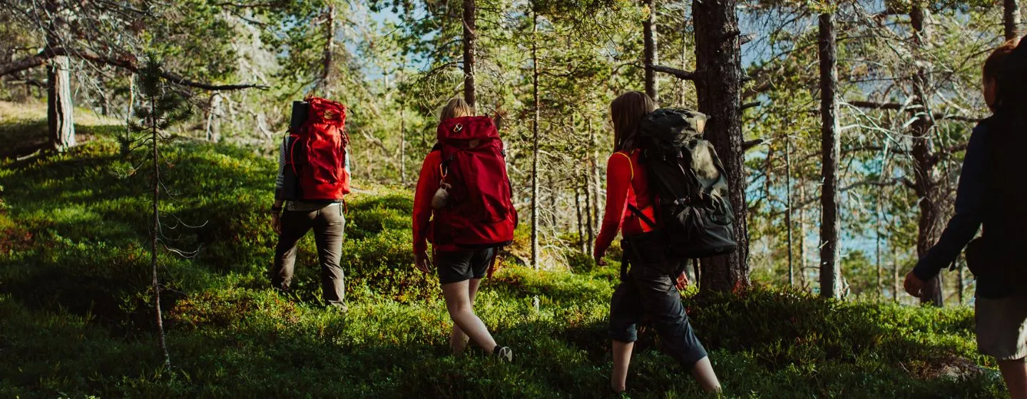 Familie på vandretur i skogen i Tromsøregionen om sommeren