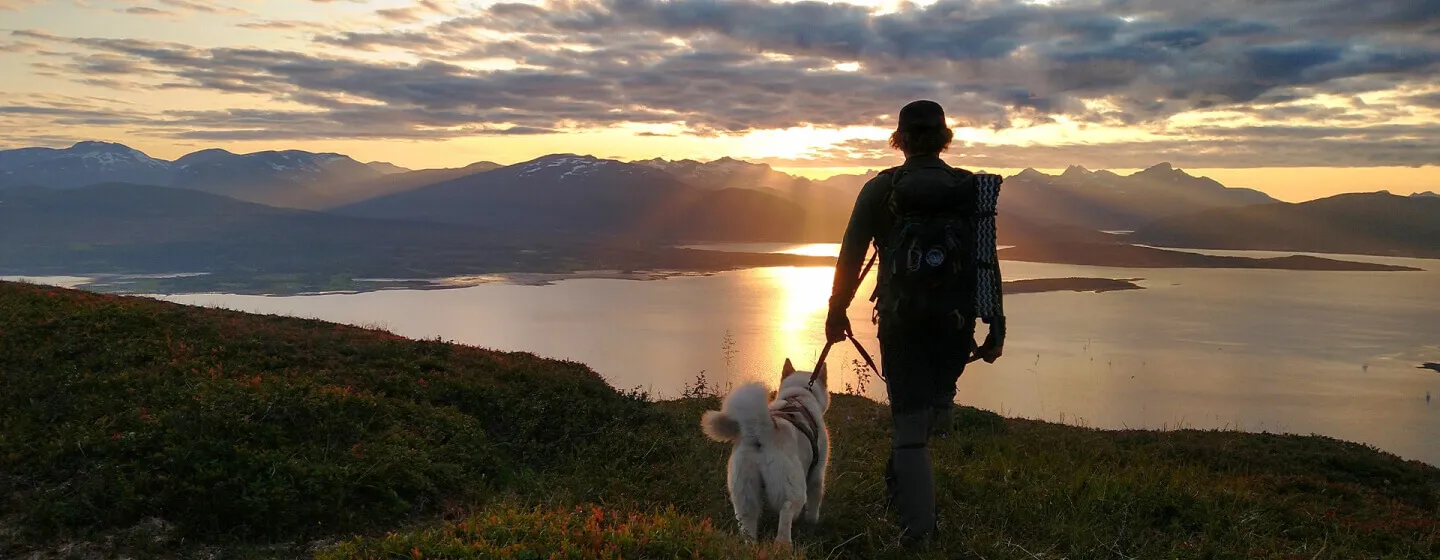 Mountain walk with dog midnight sun