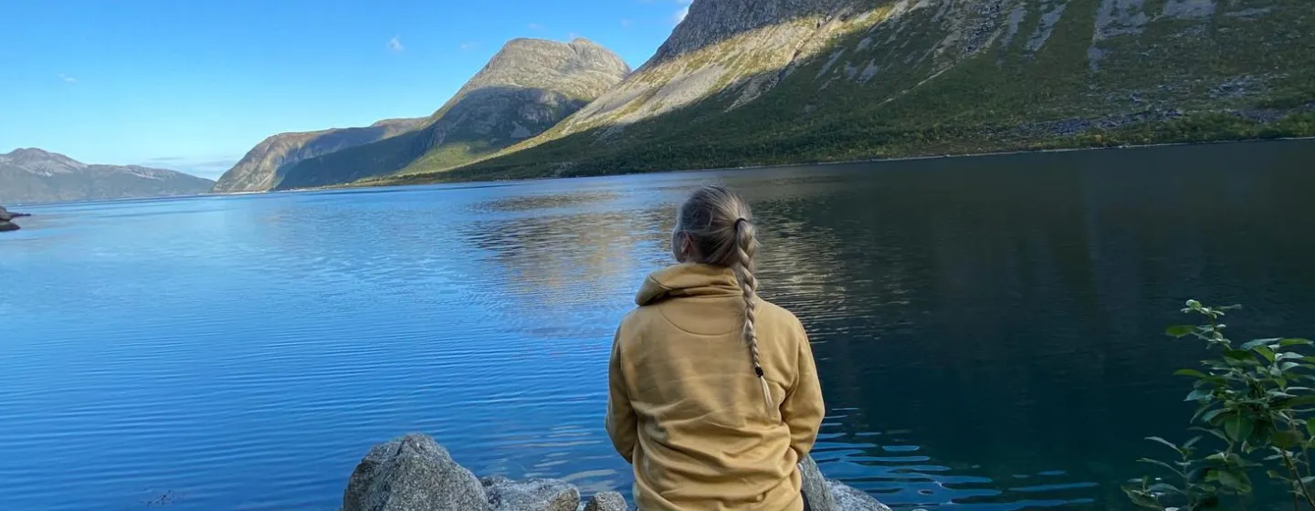 En person som ser på en fjord