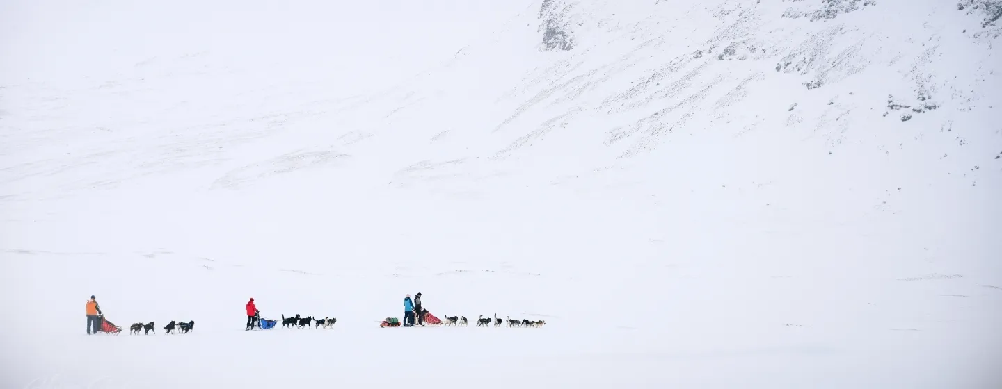 3 sleder trukket av huskyer i det arktiske landskapet