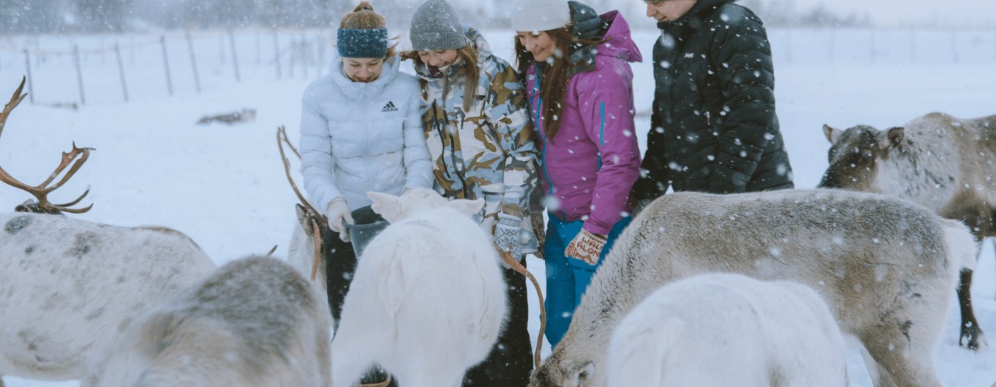 Familie hilser på reinsdyr i Tromsø
