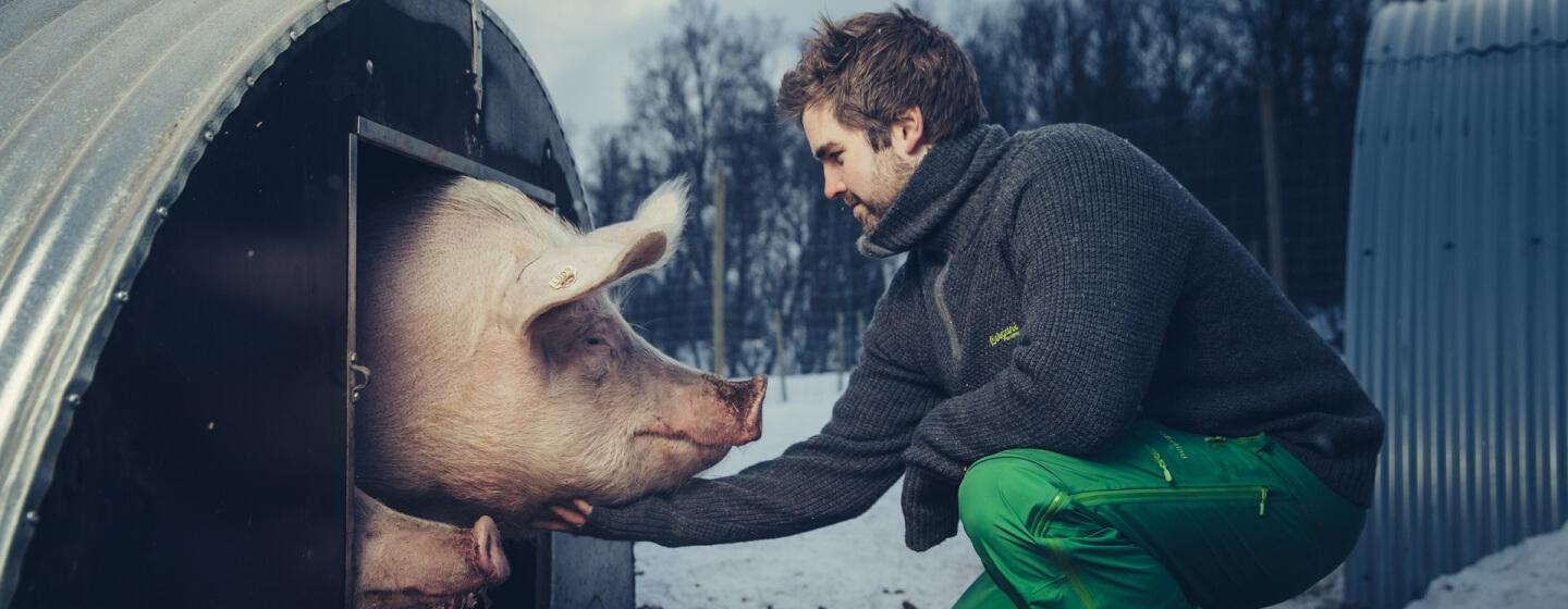 farmer Mats Hegg Jacobsen with pig