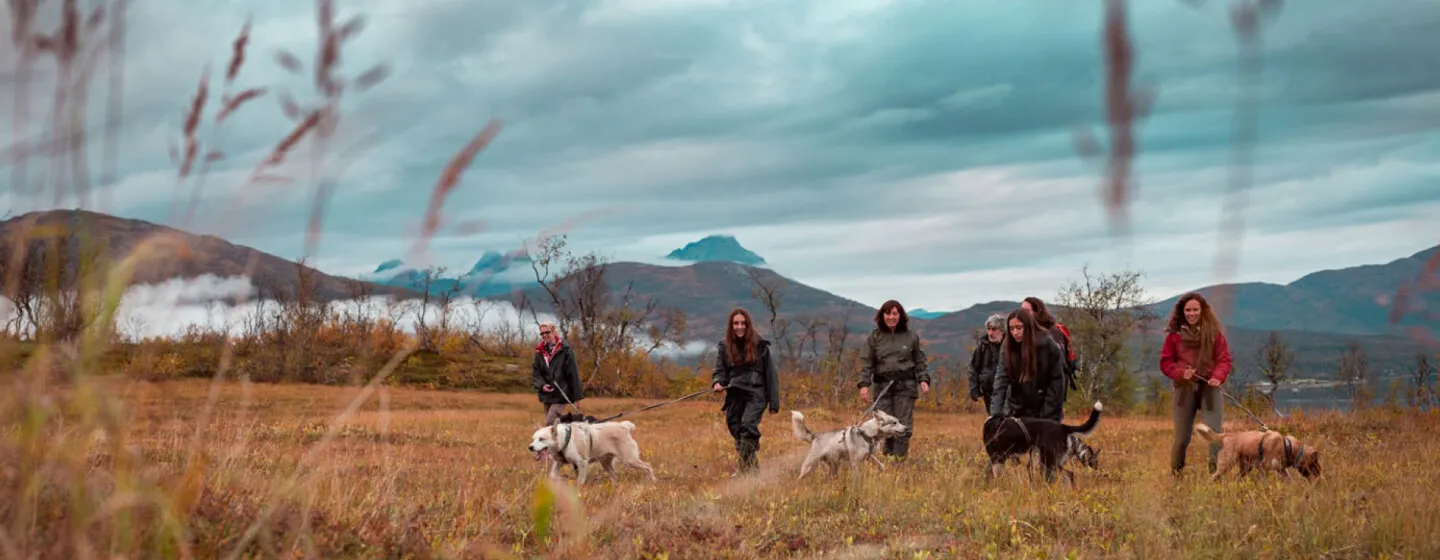walk with dogs Tromsø Villmarkssenter