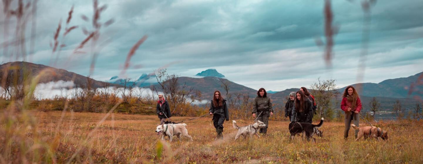 walk with dogs Tromsø Villmarkssenter