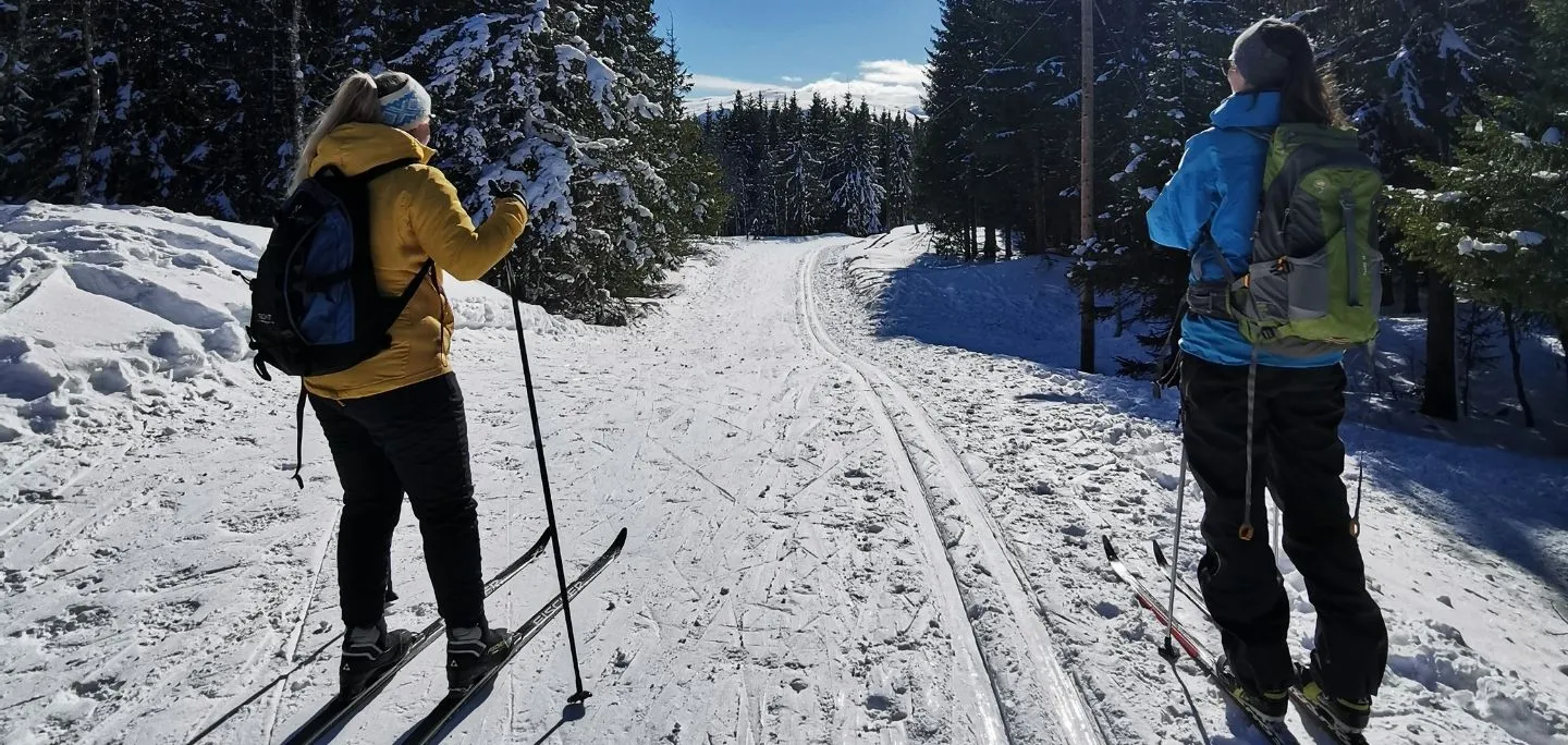 Two friends skiing on a sunny day in the Tromso region