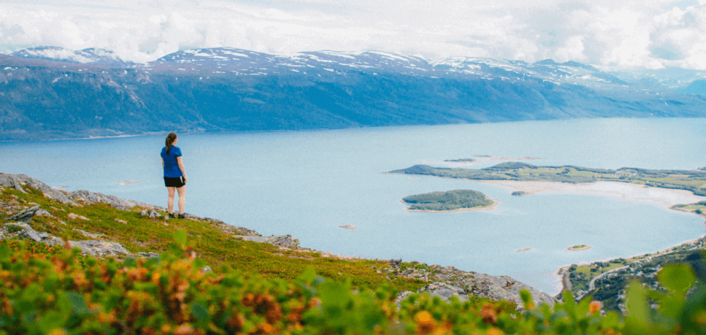 Utsikt over Lyngenfjorden